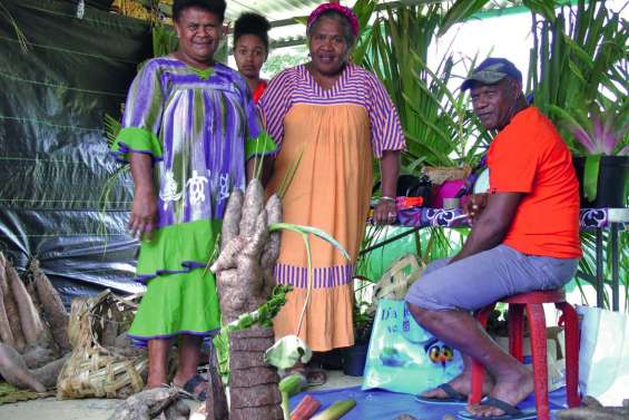 Trois jours de culture bien vivante 