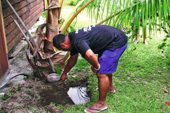 Dengue de type 2 : la menace s’éloigne