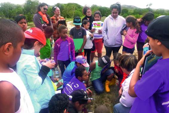 Notre-Dame dans la mangrove