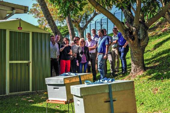 Un potager et des ruches dans les jardins d’EEC