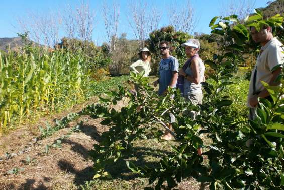 Un plan pour que le bio « change d’échelle »