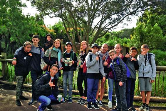 Les jeunes karatékas en voyage à Auckland