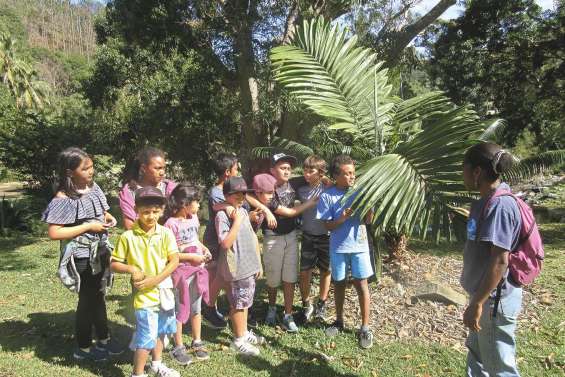 Des vacances dans la verdure