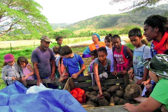 Des vacances entre terre et mer