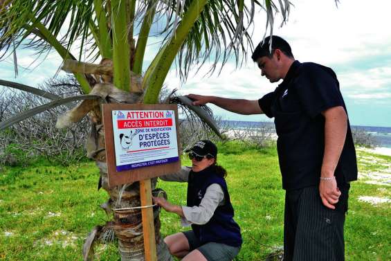 « Les oiseaux marins sont  chez eux sur les îlots »