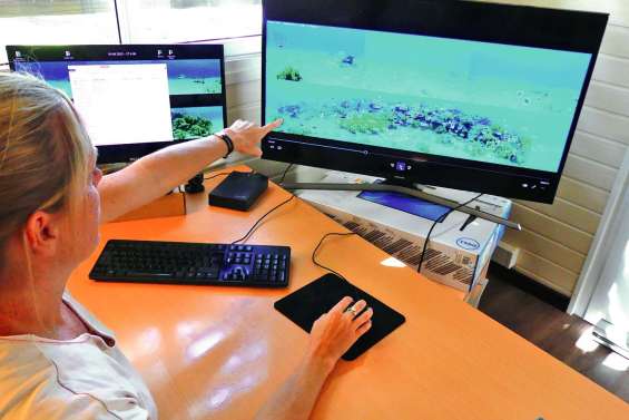 Les films dérushés dans le champ de Visioon