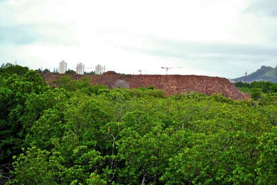 « On assiste au massacre d’un écosystème protégé »