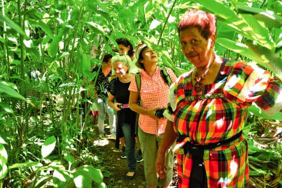 À la découverte d’un patrimoine rare :  le jardin médicinal de Brigitte Wamytan