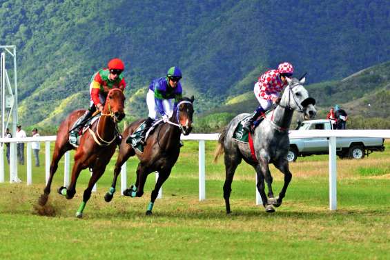 Aïto remporte d’un naseau le Grand Prix du Nord