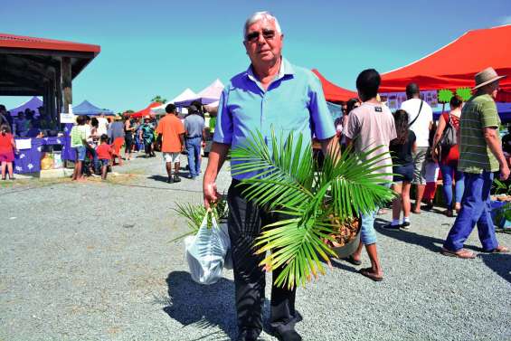 Des amateurs de palmiers comblés