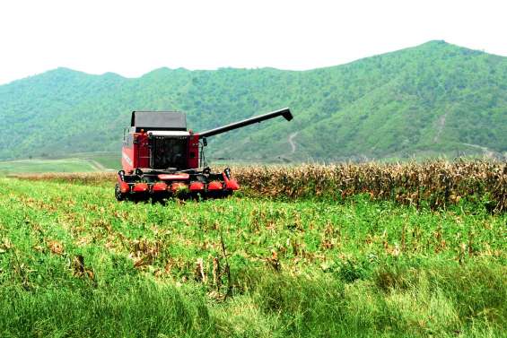 OGM : nouvel appel à durcir la loi