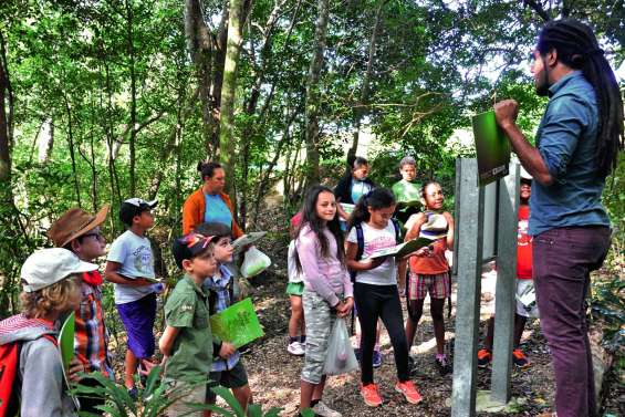 Un mercredi pas comme les autres