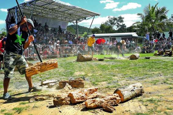 Le ver de bancoule sans modération
