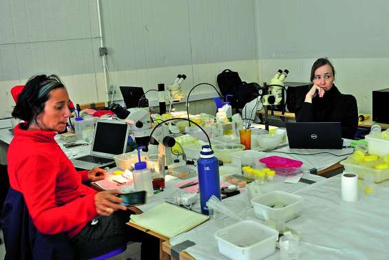 Des débuts prometteurs pour l’expédition « La Planète revisitée »