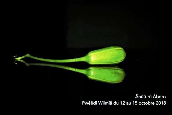 Quatre jours de festival Ânûû-rû Âboro en octobre