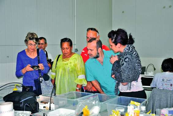 L’expédition « La Planète revisitée » ouvre ses portes