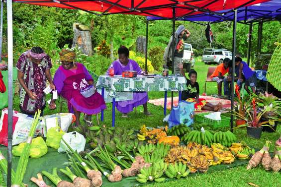 La province Nord en images