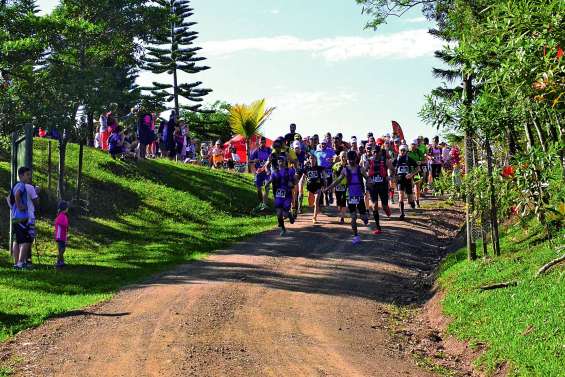 Plus de 500 coureurs se lancent demain sur les pistes de Boulouparis