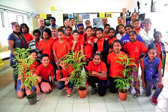 Une exposition pour la sauvegarde de la forêt humide à l’école Saint-Michel