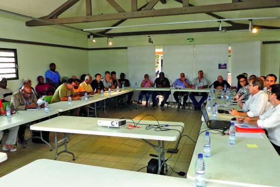 Collectif Güaro et province Sud : ça avance 