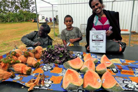 La rencontre de la culture  et de l’agriculture