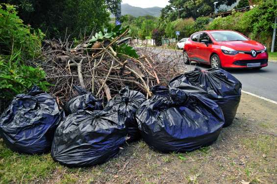 Le marché des déchets verts épinglé par le haut-commissariat