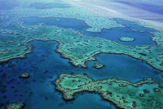 Science et tourisme s’écharpent sur la Grande Barrière