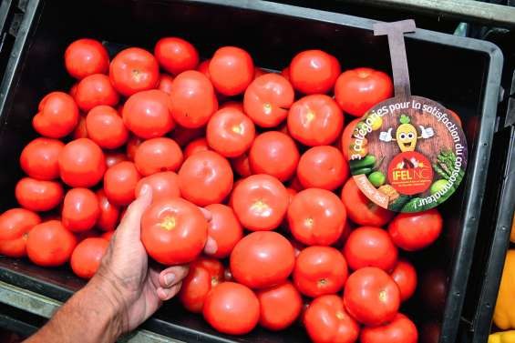 Premiers retours positifs sur la classification des fruits et légumes