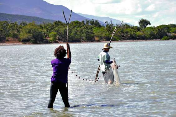 L’étang de Koumac passé au peigne fin