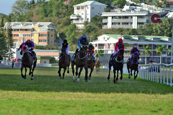 Boulouparis célèbre les juments aujourd’hui