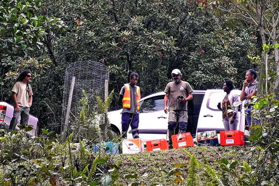 Sept notous de plus dans le parc des Grandes Fougères