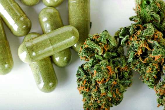 La pertinence du cannabis thérapeutique à l’étude