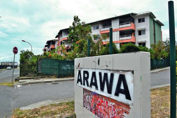 Arawa et Macaranga, les doyennes de Dumbéa-sur-Mer