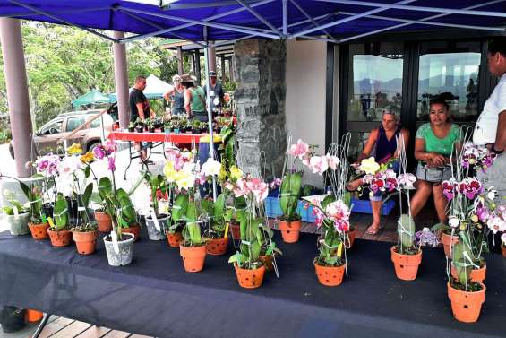 Le marché aux plantes avancé pour cause de référendum