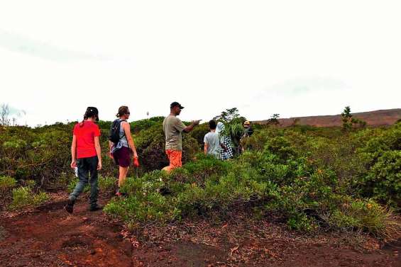 Tiébaghi s’est repeuplé ce week-end