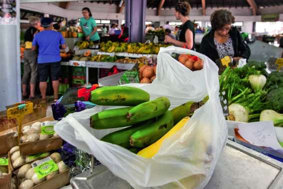Le Cese approuve le projet de loi  contre les sacs plastique