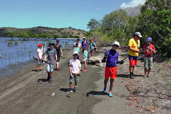 La voile au service de l’environnement