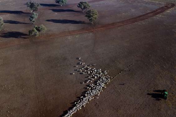 Un fonds pour anticiper les futures sécheresses