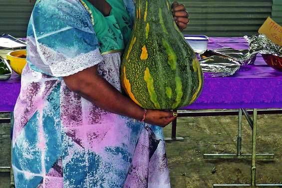 Une journée dédiée à la culture biologique