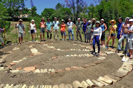 L’agriculture syntropique,  une autre manière de cultiver