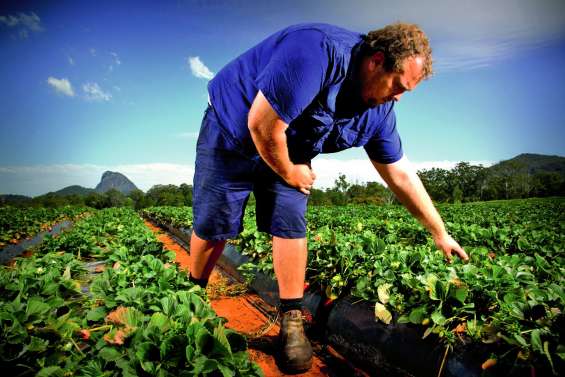 De nouvelles règles pour les visas « backpackers »