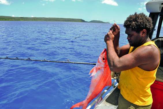 Les vivaneaux sont au rendez-vous de leur fête ce week-end à Rôh