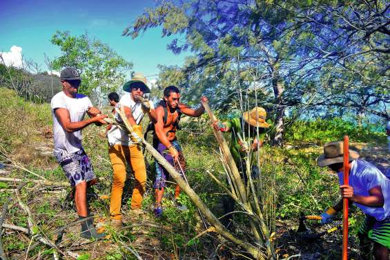 La lutte contre l’érosion des îlots est déclarée