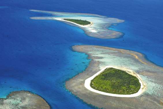 Récifs coralliens : la Calédonie une nouvelle fois mise à l’honneur