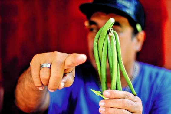 De la vanille aux Tuamotu et aux Marquises