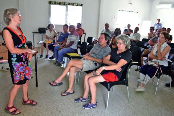 L’apithérapie ou comment se soigner grâce aux abeilles