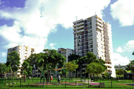 Défisc’: l’Assemblée favorable aux croisières et à la rénovation du logement social