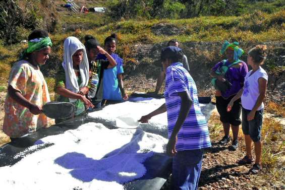 Des sciences appliquées à Poingam