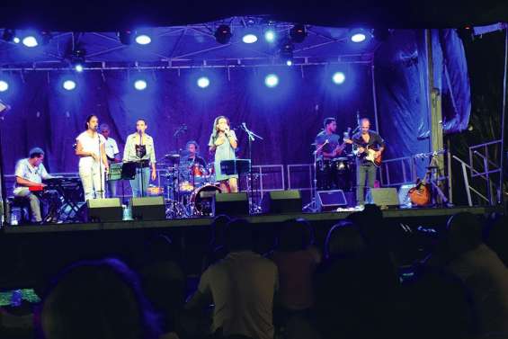 Sept artistes pour un concert gratuit en hommage à Johnny