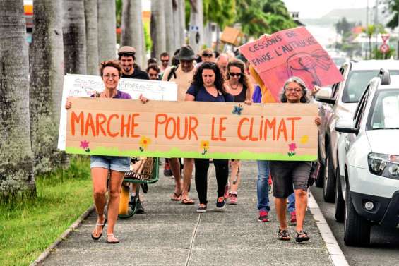 Plus de 70 marcheurs alertent sur l’urgence climatique